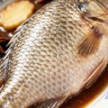 Close-up of a whole crucian carp showing its large silver scales